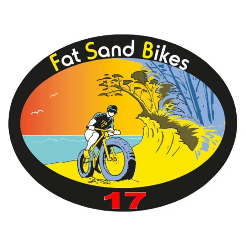 Fat Sand Bikes 17