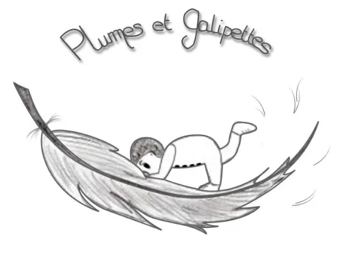 Association Plumes et Galipettes