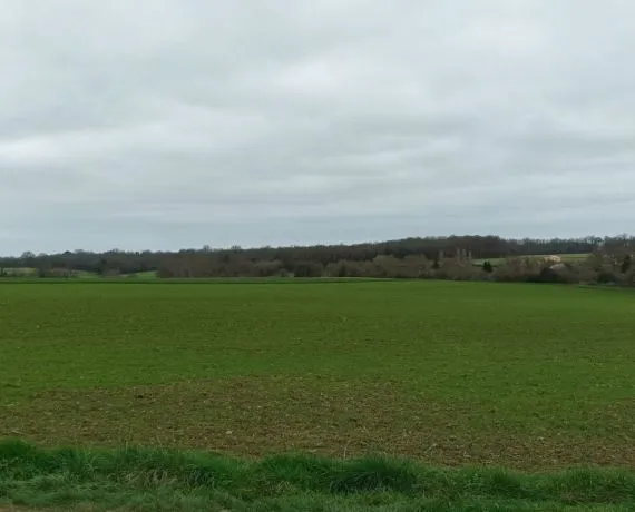 Terrain à bâtir de 616 m² à AVY (17)