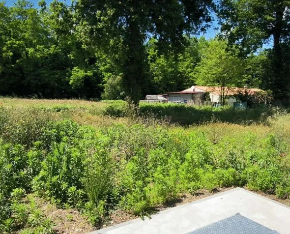 Terrain à bâtir de 400 m² à LES MATHES (17)