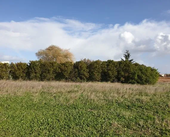 Terrain à bâtir de 425 m² à L'HOUMEAU (17)