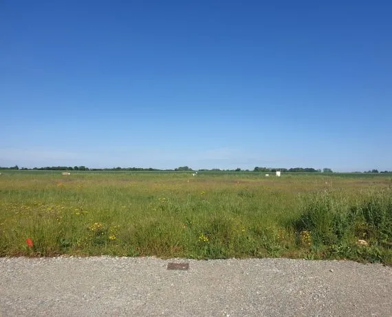 Terrain à bâtir de 442 m² à FORGES (17)