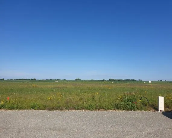 Terrain à bâtir de 387 m² à ARDILLIERES (17)