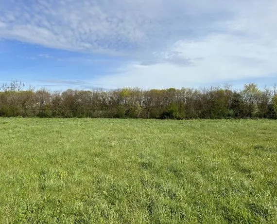 Terrain à bâtir de 326 m² à SAINT-LAURENT-DE-LA-PREE (17)