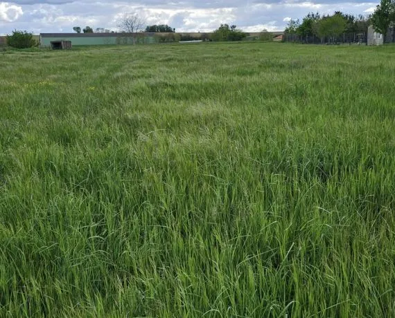 Terrain à bâtir de 1513 m² à VILLOGNON (16)