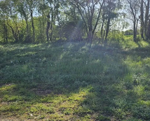 Terrain à bâtir de 510 m² à MORNAC (16)