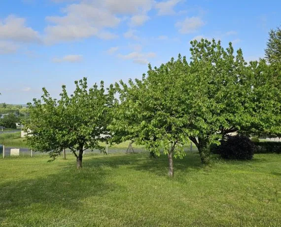 Terrain à bâtir de 1200 m² à LA COURONNE (16)