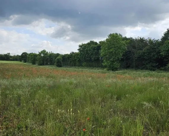 Terrain à bâtir de 380 m² à GOND-PONTOUVRE (16)