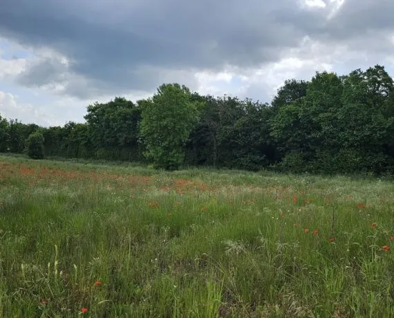 Terrain à bâtir de 559 m² à GOND-PONTOUVRE (16)