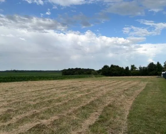 Terrain à bâtir de 734 m² à VILLARS-EN-PONS (17)