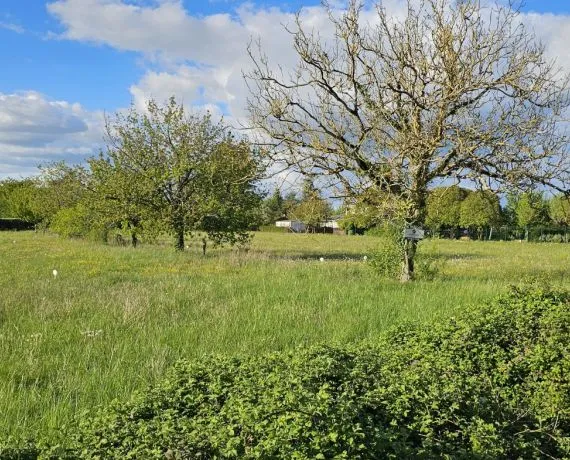 Terrain à bâtir de 780 m² à ROUILLAC (16)
