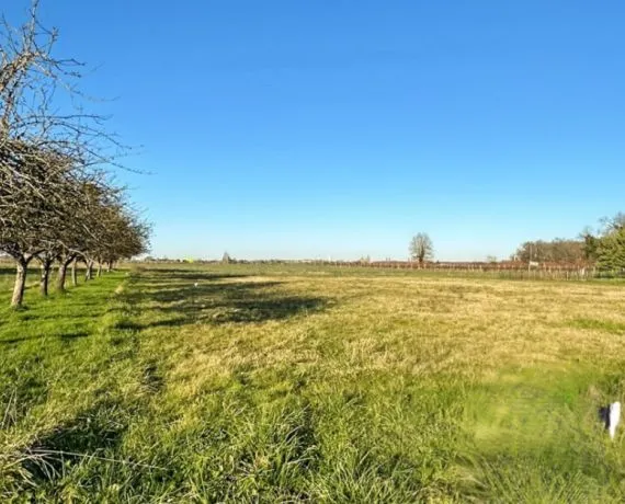 Terrain à bâtir de 1011 m² à GEMOZAC (17)