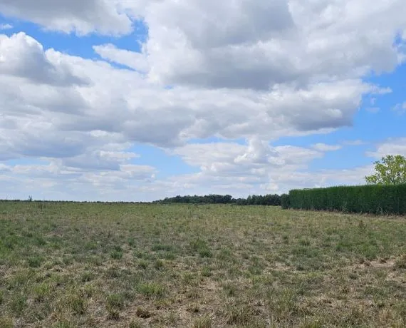 Terrain à bâtir de 1624 m² à RIVIERES (16)