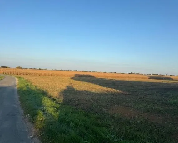 Terrain à bâtir de 802 m² à BALANZAC (17)