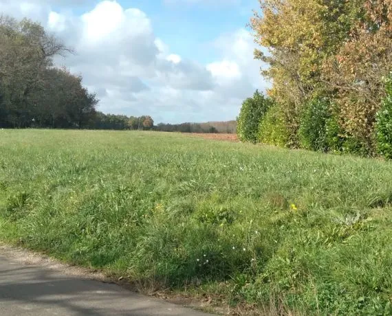 Terrain à bâtir de 1980 m² à SAINT-SORNIN (16)