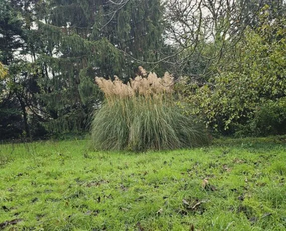 Terrain à bâtir de 860 m² à ANGOULEME (16)