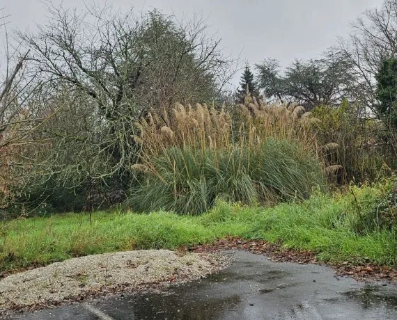 Terrain à bâtir de 1500 m² à SAINT-YRIEIX-SUR-CHARENTE (16)