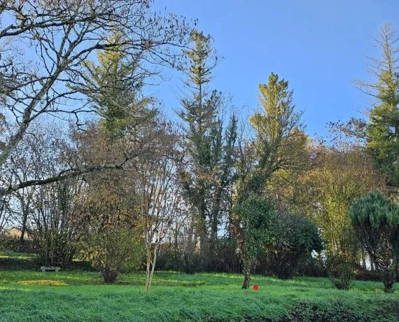 Terrain à bâtir de 1138 m² à MAGNAC-SUR-TOUVRE (16)