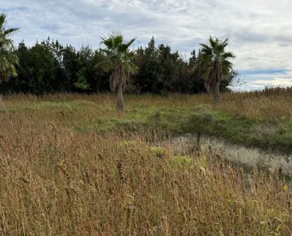 Terrain à bâtir de 1700 m² à SEMUSSAC (17)