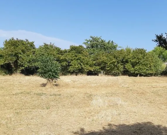 Terrain à bâtir de 1744 m² à MATHA (17)
