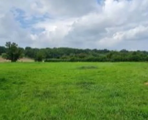 Terrain à bâtir de 419 m² à MEURSAC (17)