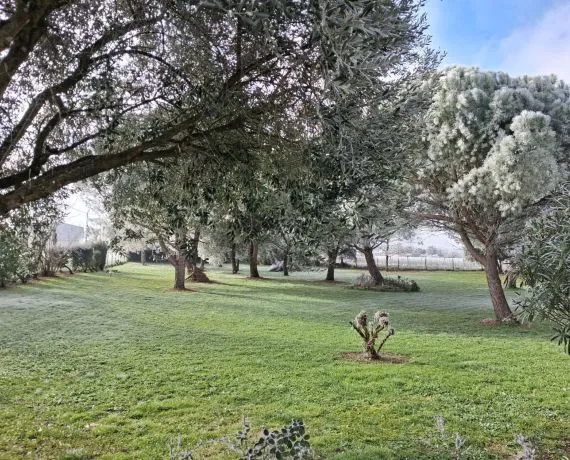 Terrain à bâtir de 2703 m² à REPARSAC (16)