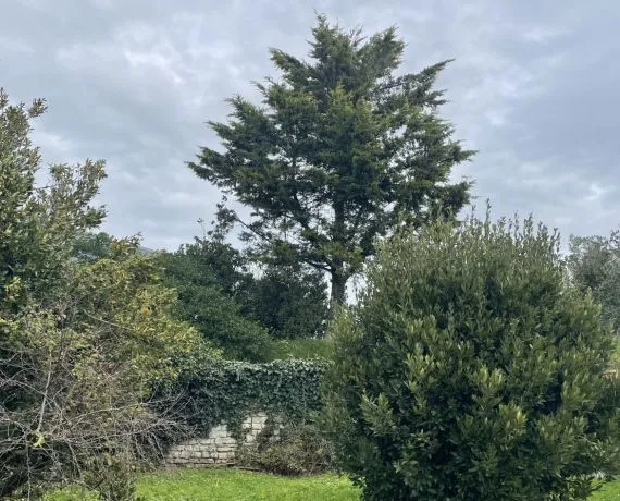 Terrain à bâtir de 334 m² à LA ROCHELLE (17)