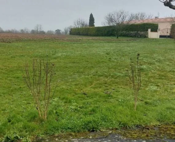 Terrain à bâtir de 974 m² à SAINT-GEORGES-DES-COTEAUX (17)