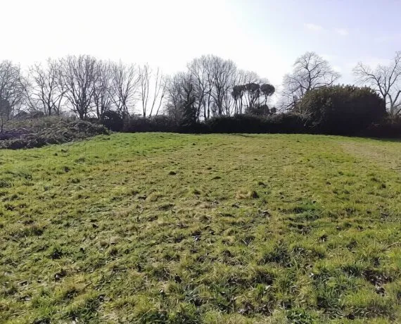 Terrain à bâtir de 4593 m² à CLION (17)