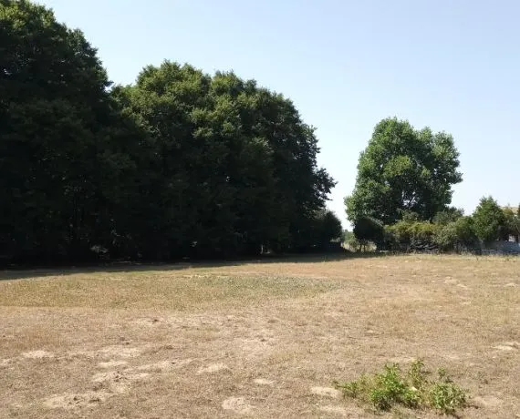 Terrain à bâtir de 1355 m² à GEMOZAC (17)