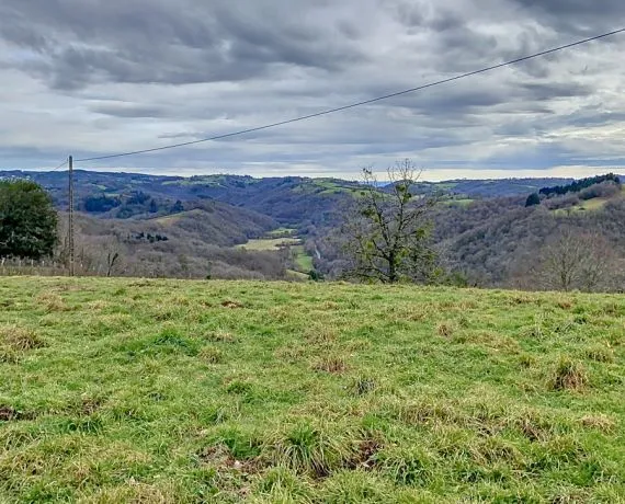 Terrain à bâtir de 7500 m² à ALBIGNAC (19)