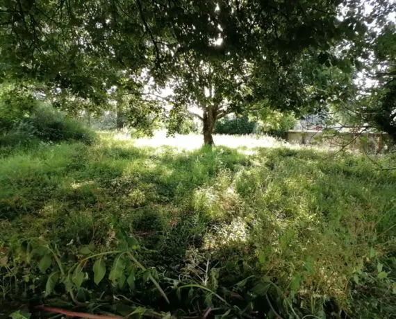Terrain à bâtir de 774 m² à SAINT-GEORGES-DE-DIDONNE (17)