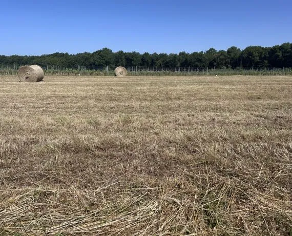 Terrain à bâtir de 900 m² à LOUZAC-SAINT-ANDRE (16)