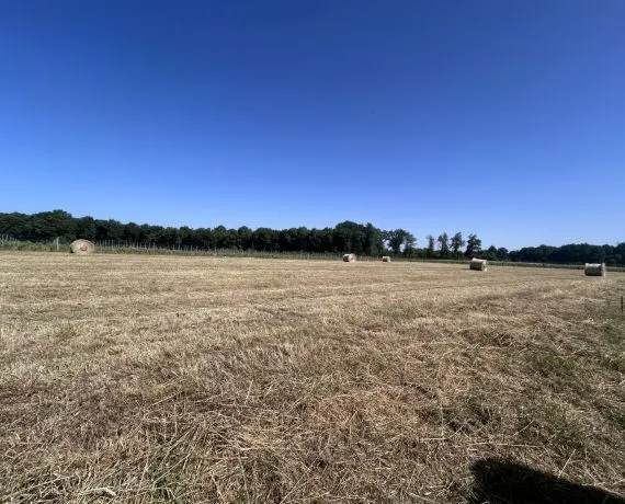 Terrain à bâtir de 1100 m² à CHERAC (17)