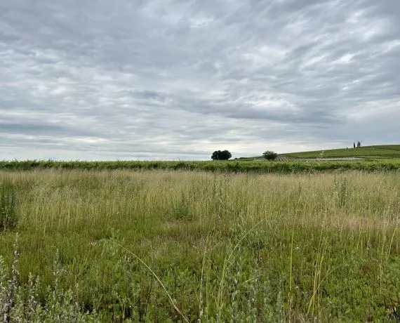 Terrain à bâtir de 2172 m² à SAINTE-LHEURINE (17)